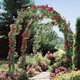 Metal Garden Arch Trellis