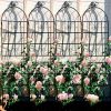 Black 4 Pack Metal Garden Trellis