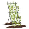 Garden Trellis for Flower Vine Vegetable Fruit Pea
