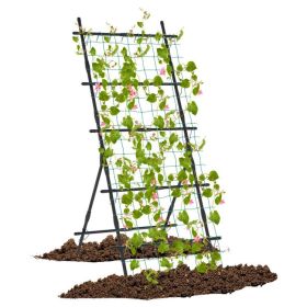Garden Trellis for Flower Vine Vegetable Fruit Pea