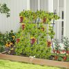 Garden Trellis for Flower Vine Vegetable Fruit Pea