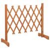 Garden Trellis Fence Orange