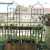 Black 4 Pack Metal Garden Trellis