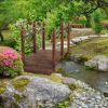 Garden Bridge Arc Walkway with Side Railings  Fir Wood